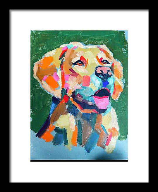 Yellow Lab - Framed Print
