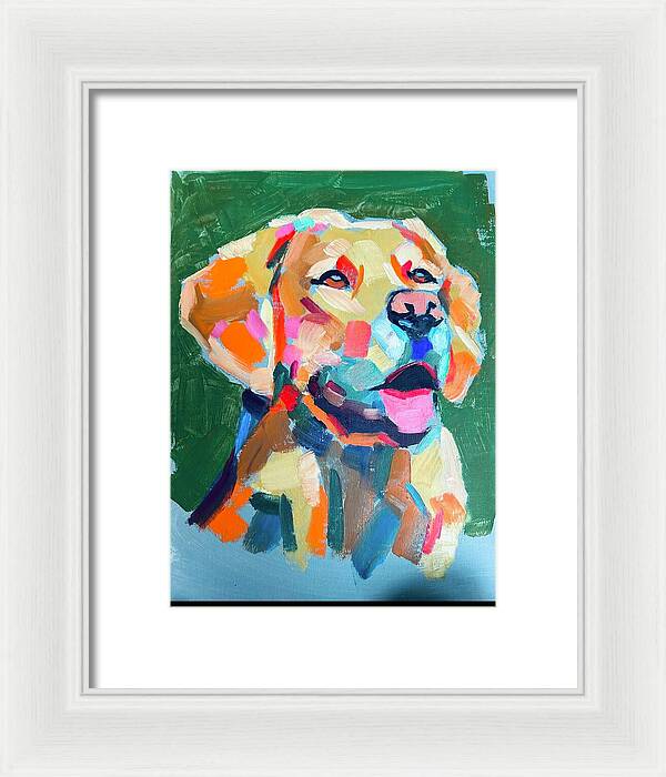 Yellow Lab - Framed Print