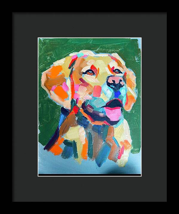 Yellow Lab - Framed Print