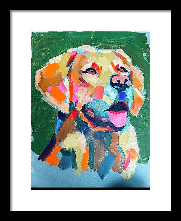 Yellow Lab - Framed Print