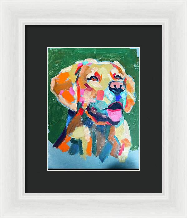 Yellow Lab - Framed Print