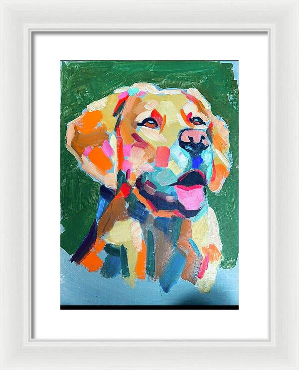 Yellow Lab - Framed Print