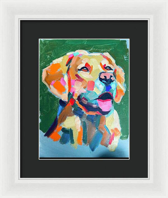 Yellow Lab - Framed Print