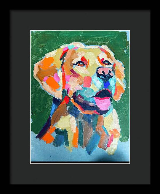 Yellow Lab - Framed Print