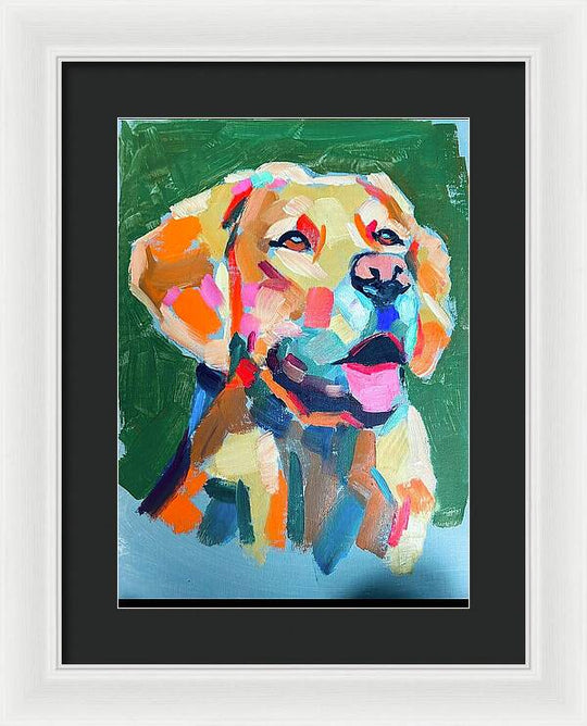 Yellow Lab - Framed Print