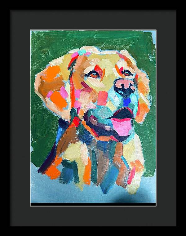 Yellow Lab - Framed Print
