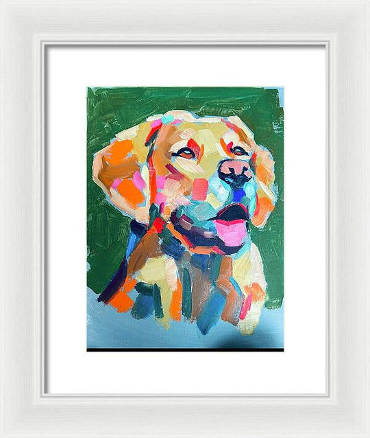 Yellow Lab - Framed Print