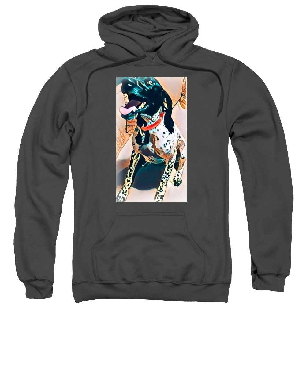 Zaya - Sweatshirt