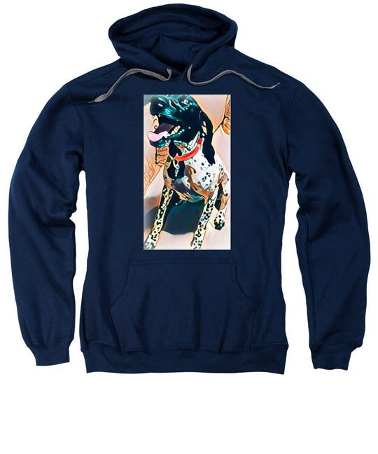 Zaya - Sweatshirt