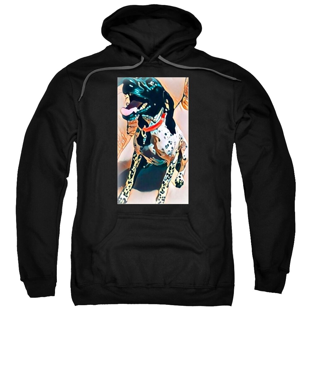 Zaya - Sweatshirt