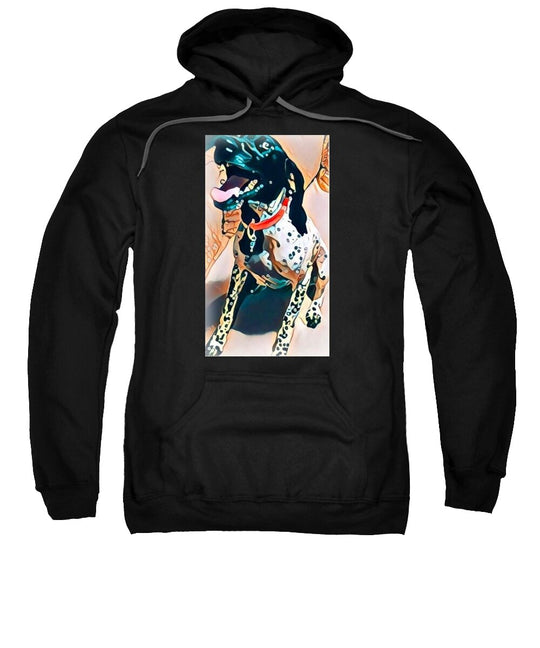 Zaya - Sweatshirt